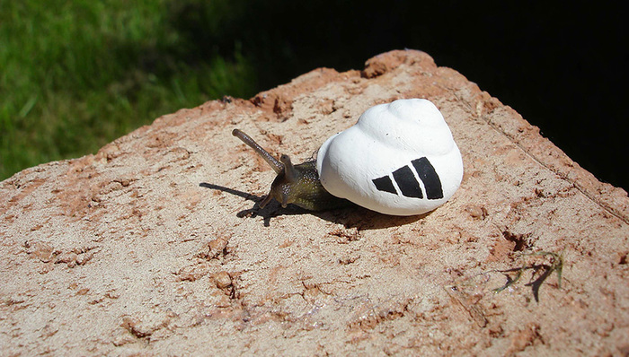 阿迪达斯夺回北美第二