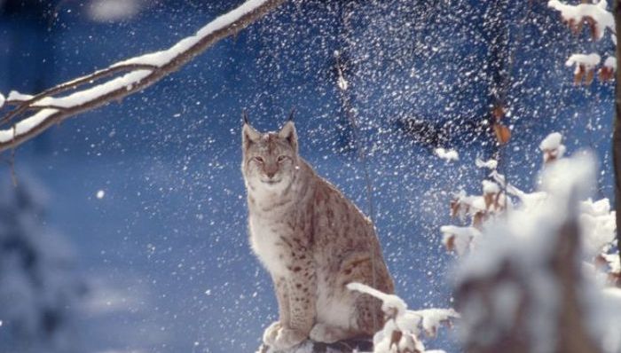 天下故事,惊奇的发现