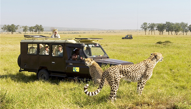 英国皇室御用的 A&K 旅游公司，擅长将野外探索打造成舒适安全的奢华之旅
