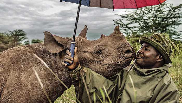 野生动物,国家地理