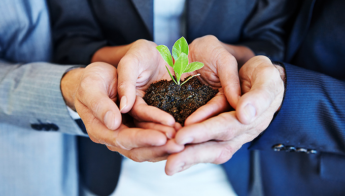 东北经济,宏观政策解读