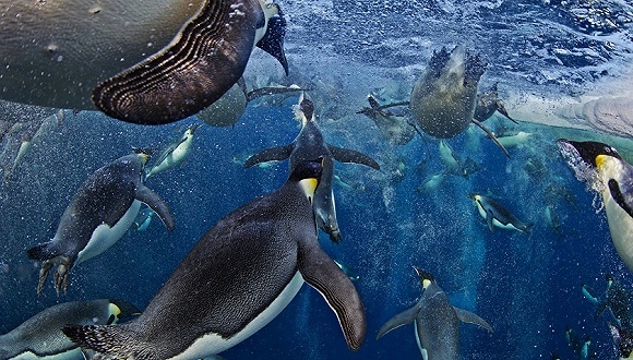 天下故事,环境保护