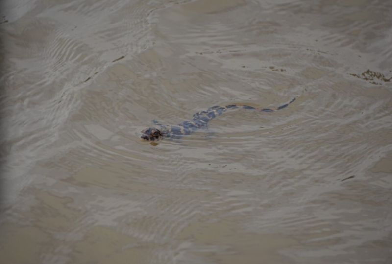 摄影：华东师范大学于峰