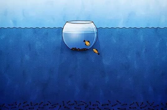 互联网,新榜,商业模式,徐达内