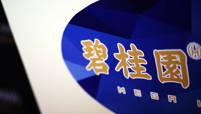 中国物业第一股