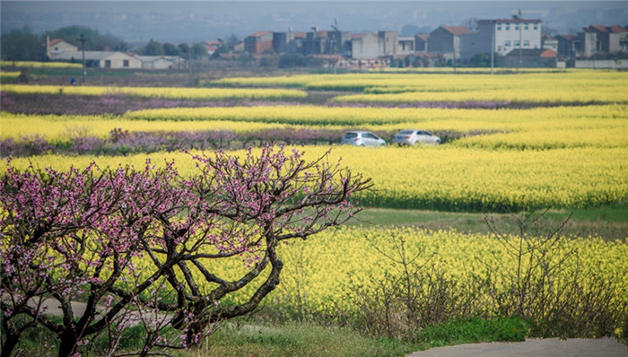 天涯,新刊,丈夫,农家,婆婆,嫂子,底片,老娘,今夜我回到工厂,对照童年
