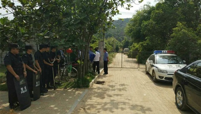 厦门,动物园,老虎