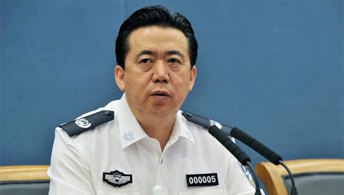 公安部,孟宏伟,国际刑警