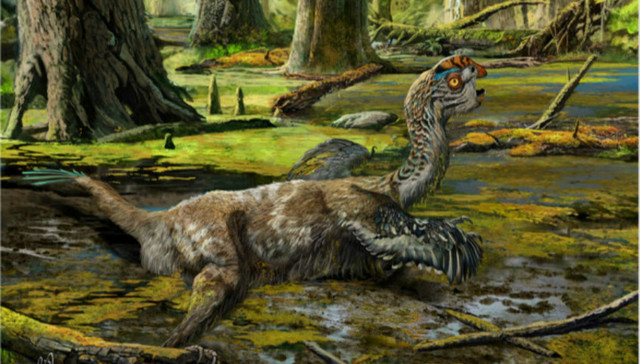 考古，窃蛋龙，古地理