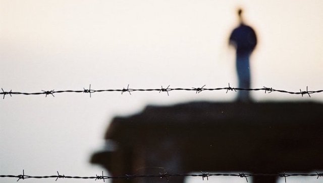 贾敬龙,故意杀人案,新华社