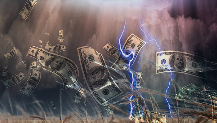 期货品种价格跳水