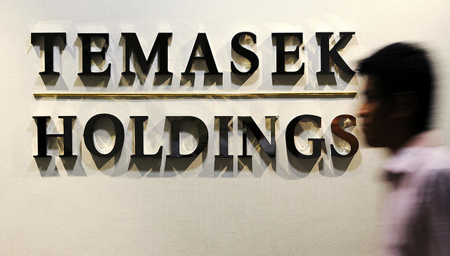 淡马锡投资组合