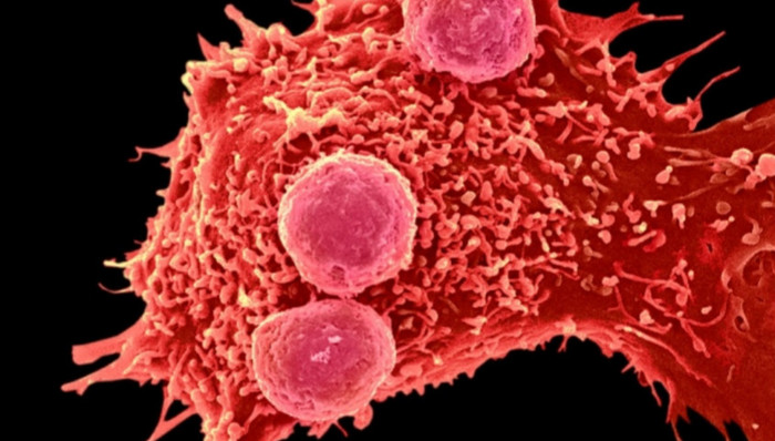 基因编辑，医学伦理