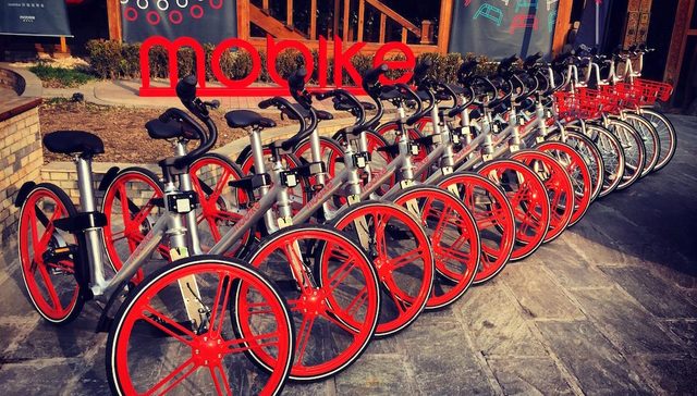 摩拜向左，ofo向右：创业过程中，产品和运营，谁更重要？