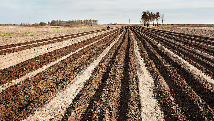 土地承包经营权流转