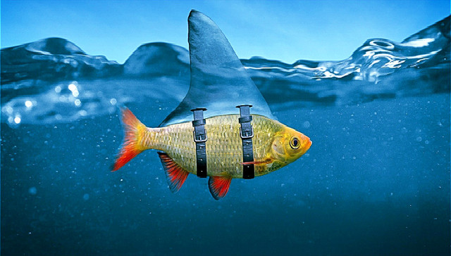 蓝海战略,红海,苹果,通用电气,强生,科大讯飞,,W．钱·金,价值创新,差异化产略,Netflix