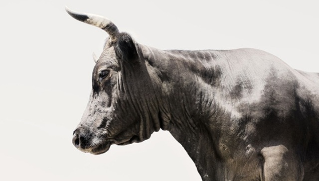 希腊,摄影,艺术,创造,史诗