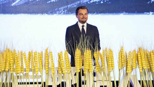 套路,金星秀,好莱坞明星,皮特,欧美明星,宣传影片,上节目,被虐,来华