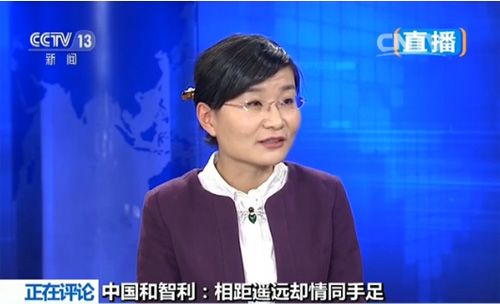 中国国际问题研究院国家战略所苏晓晖