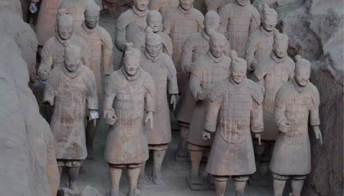 动物世界,出土,考古人员,动物骨骼,最新发现,考古发现,动物的习性,陪葬坑,资料图,秦代