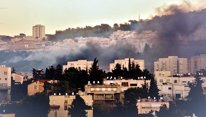 以色列,山火,巴勒斯坦
