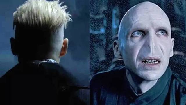 纽特,哈利·波特,魔法部,三强争霸赛,古灵阁,黑魔王,罗琳,神奇动物在哪里,电影,默默然