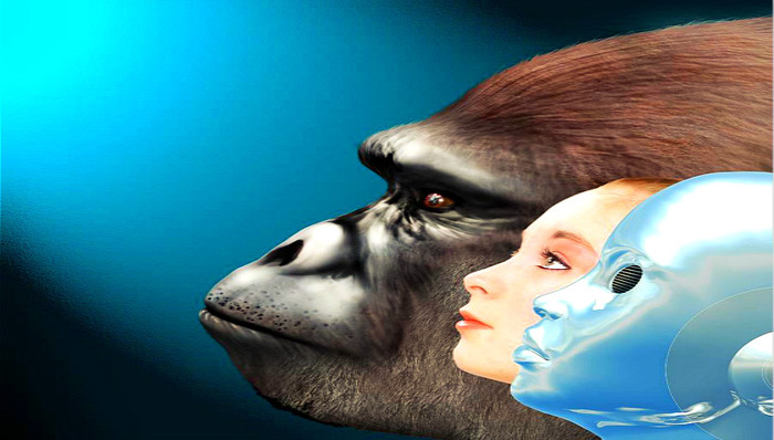 人工智能,Facebook,谷歌,聊天机器人,应用开发,生物模型,劳动力,预测能力