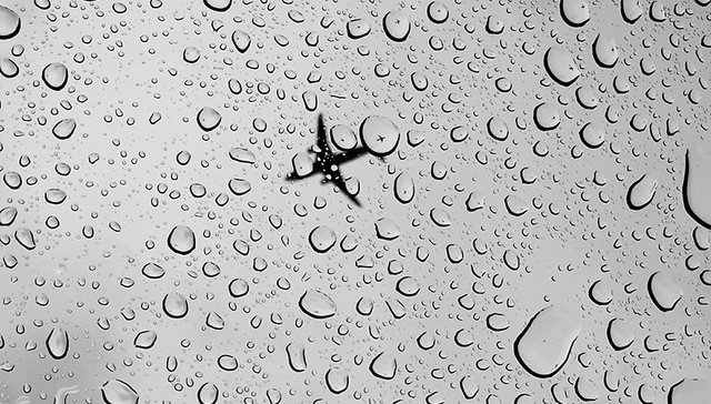 一架载有巴西足球队员的飞机坠毁 76人死亡5人生还