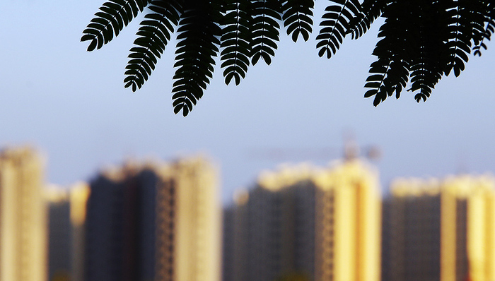 休克,地产商,莫尼塔,地产市场,地产公司,房价涨幅,楼盘价格,楼市,地区房价,地王