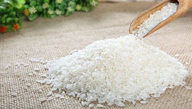 黑龙江,稻农,收入暴涨,组团买房,五常大米,五常稻农,富裕