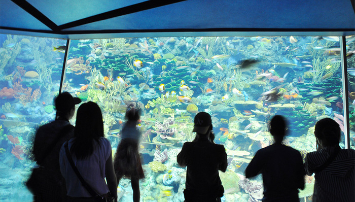 香港海洋公园,香港旅游,迪士尼,境外游