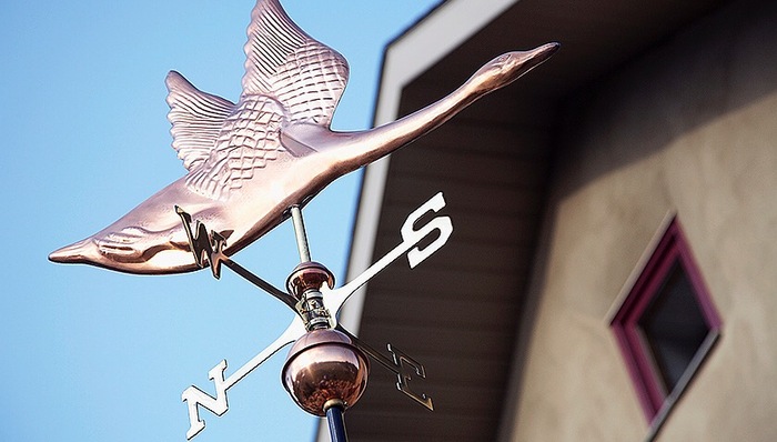 亚马逊,京东,阿里巴巴,Linkedin,微软,华为,Uber,Airbnb