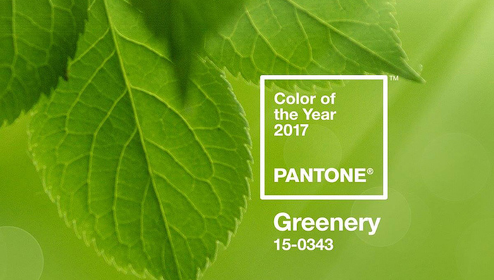 Pantone,生活家
