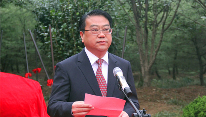 合肥,市长,张庆军