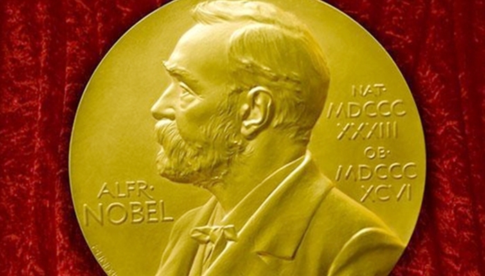 诺贝尔,鲍勃,·,迪伦