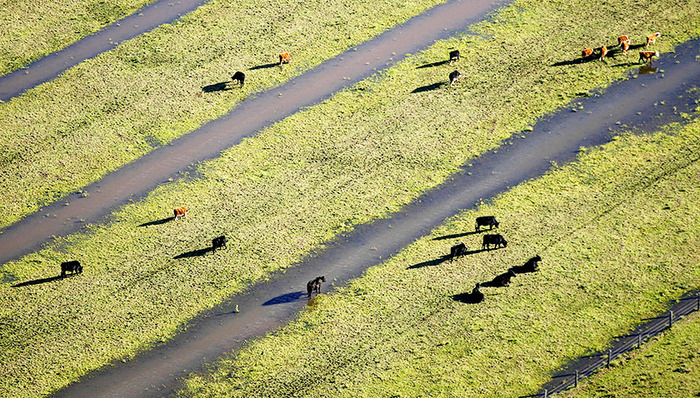 中资财团参与收购澳大利亚最大农场