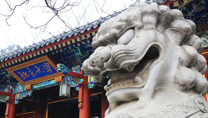 发展中国家大学