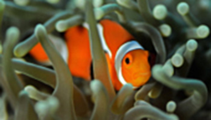 中孚实业亿级项目困局