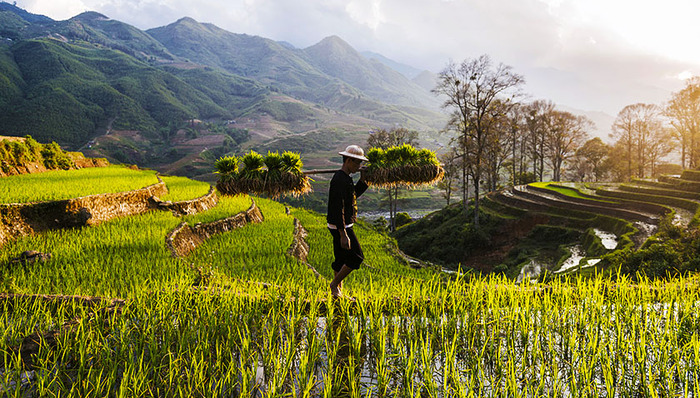 推进农业,习近平,农业农村发展,惠农政策,农业产业体系,农业发展,农业节水,农业结
