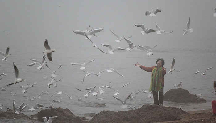 PM2.5,大气污染,热点追踪,雾霾