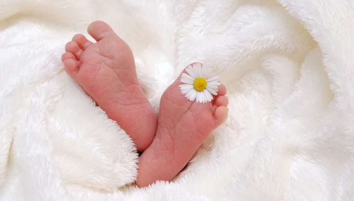 公务员,再婚,二孩,超生