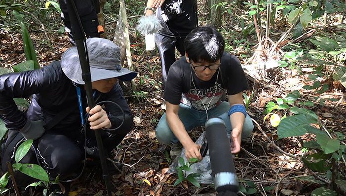 李星宇,亚马逊雨林,环保,视频,自然声音,自然的法则,音乐