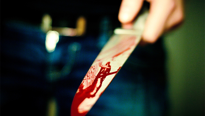 调查报道,案件跟踪