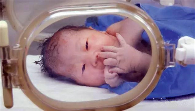 生门,陈为军,传媒大学,滚滚红尘,医院方面,纪录片导演,纪录片拍摄,医院妇产科,医学,生孩子