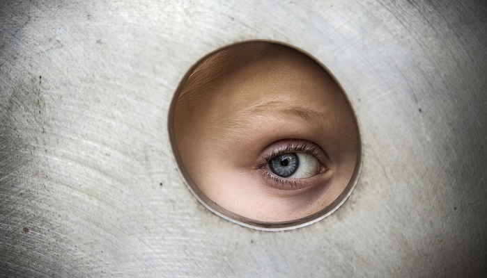 日本,间谍,公审