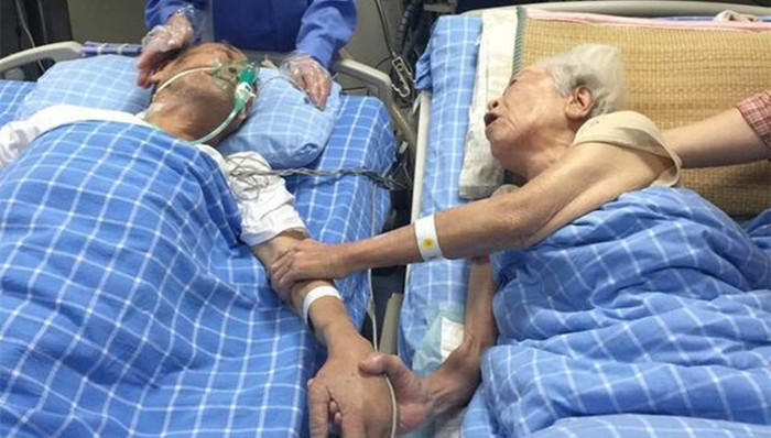 九旬夫妻,病房,执子之手,电信诈骗,村委会,工资,欠条,首都机场,插队,信息泄露
