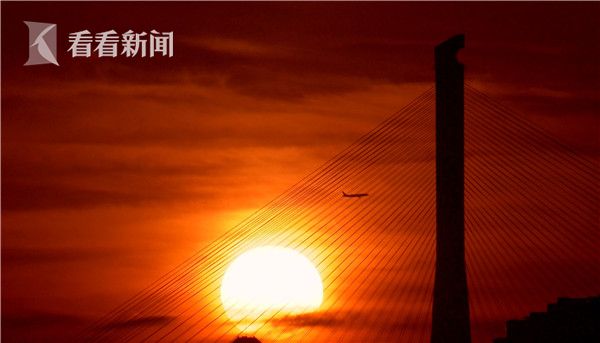 日出万道金光，穿越杨浦大桥的斜拉索，普照大地。