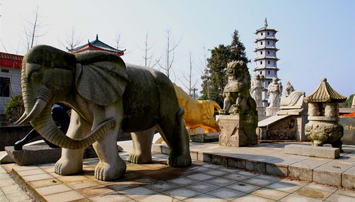 活人墓,人大代表,拆除