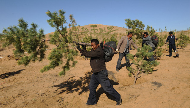 雾霾,三北防护林,清除