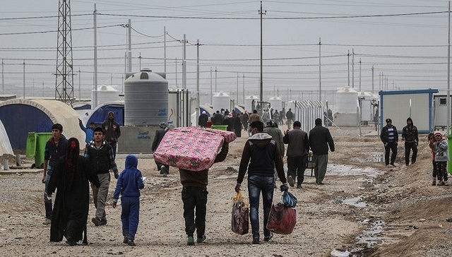 联合国：2016年至少有6878名伊拉克平民被杀